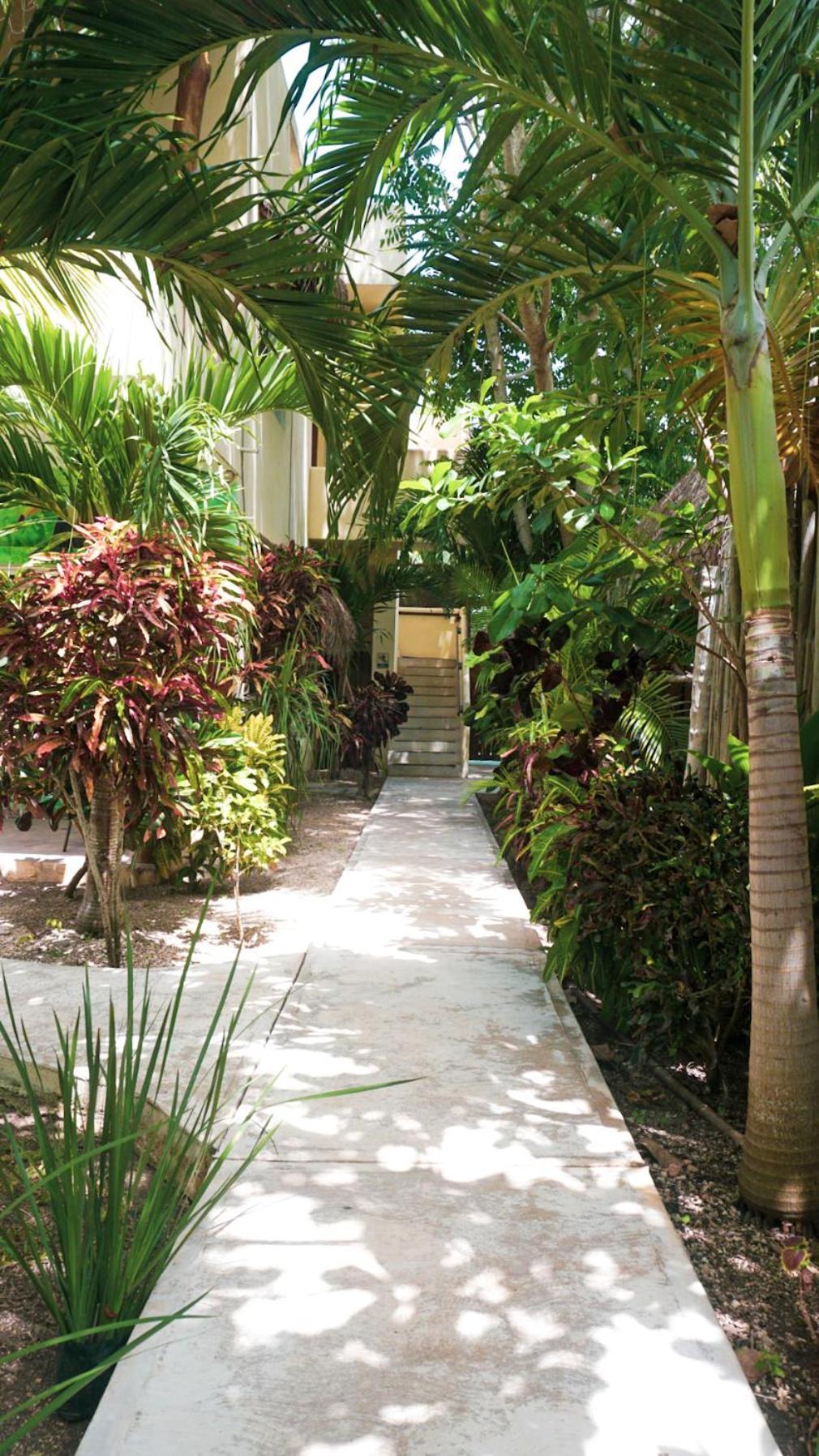& Oasis Hotel Bacalar