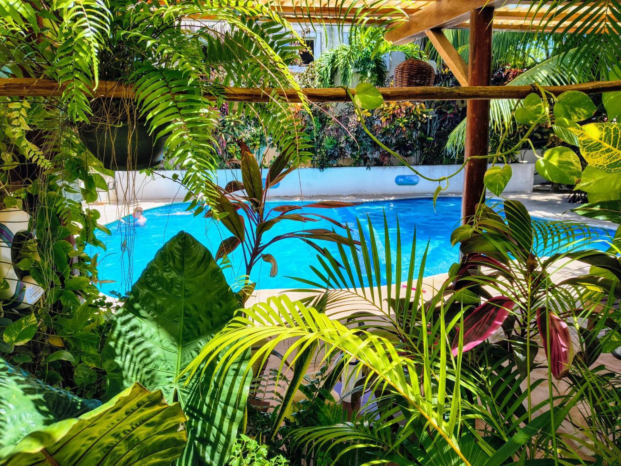 Hotel&suites Oasis Hotel 3*