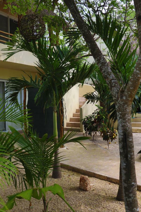 Hotel & Oasis 3*
